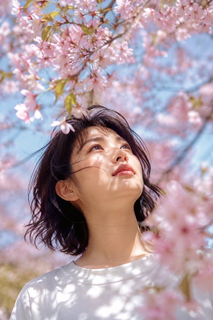 桜の下の見上げ - AI生成の作例
